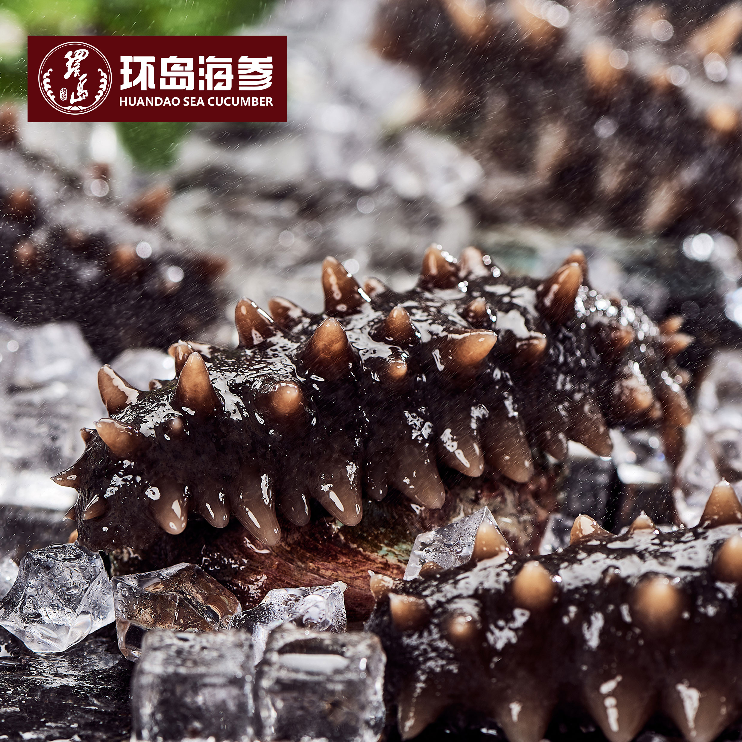 918������(�й���)������վ